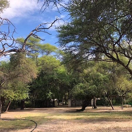 Sitatunga Campsite Maun Buitenkant foto