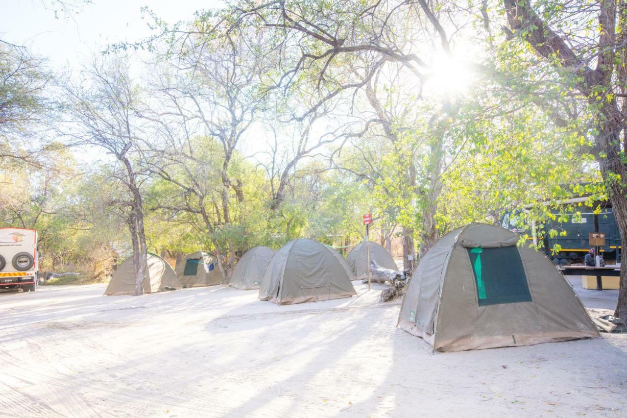 Sitatunga Campsite Maun Buitenkant foto