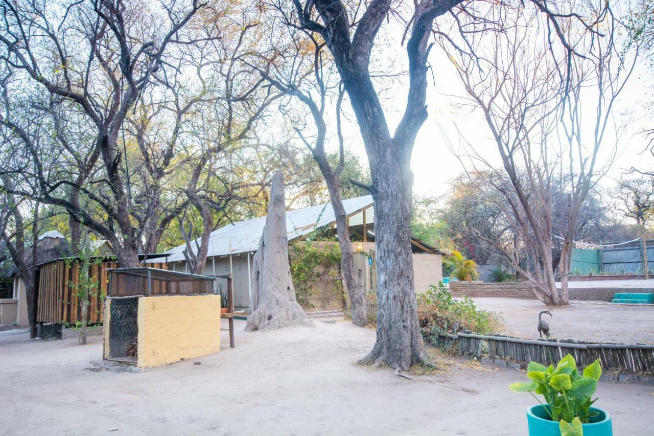 Sitatunga Campsite Maun Buitenkant foto