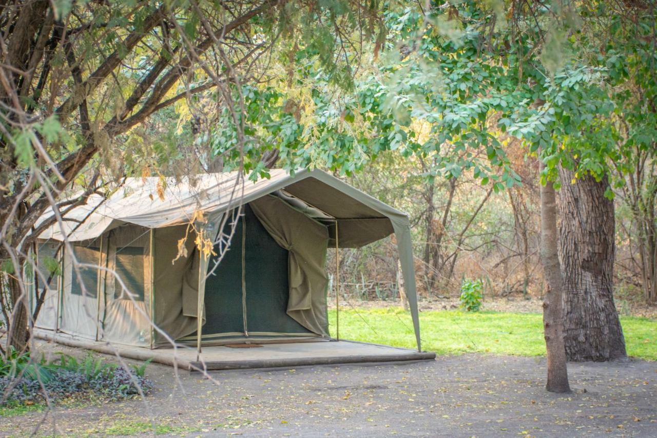 Sitatunga Campsite Maun Buitenkant foto